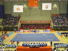 A typical wushu competition, here represented by the 10th All-China Games.