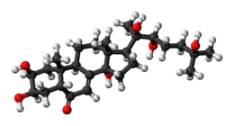 Ball-and-stick model of the 20-hydroxyecdysone molecule