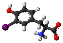 Ball-and-stick model of the 3-iodotyrosine molecule as a zwitterion