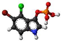 Ball-and-stick model of the BCIP molecule