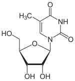 Skeletal formula of 5-methyluridine