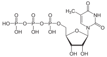 Skeletal formula of 5-methyluridine triphosphate