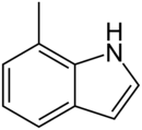 Skeletal formula of 7-methylindole