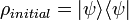 \rho_{initial} = |\psi\rangle\langle\psi|