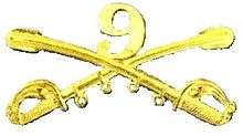 A computer generated reproduction of the insignia of the Union Army 9th Regiment cavalry branch. The insignia is displayed in gold and consists of two sheafed swords crossing over each other at a 45 degree angle pointing upwards with a Roman numeral 9