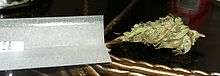 A bud of the Malawi #1 (Malawi Gold) cannabis strain