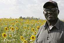 A man standing in front of a field of sunflowers