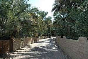 A sandy path lined by low walls behind which are many palm trees.