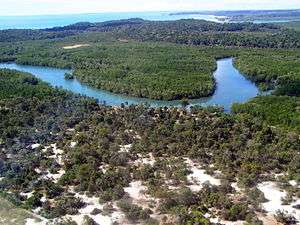 Meandering river, bordered by relatively open dry forest in the foreground, and dense mangroves in the background