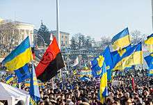 Large demonstration, with Svoboda and other party flags