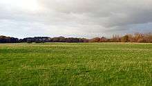 Photo of a large, flat field, surrounded by trees in the far distance.
