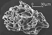 Close up of tiny particle of volcanic ash, showing its many tiny tubular holes.