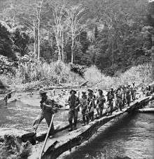Soldiers march across a makeshift river crossing in the jungle
