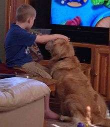 A service dog encourages outward expression from a young boy with autism.