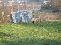A big shaggy goat with long horns eats its grass on top of a hillside in view of several dual carriageways.