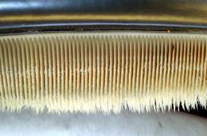 Photo displaying dozens of baleen plates: The plates face each other, and are evenly spaced at approximately 0.25 in (1 cm) intervals. The plates are attached to the jaw at the top, and have hairs at the bottom end.