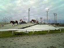 Ban'ei horses in Obihiro Racecourse