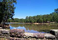 Bastrop State Park Lake is surrounded by the "Lost Pines of Texas" and is prime breeding ground for the Houston toad.