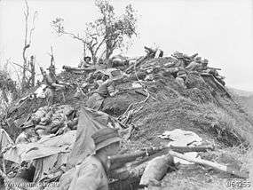 Soldiers wearing slouch hats dug in along a ridge
