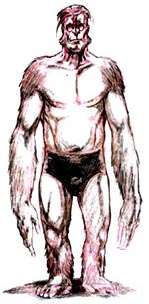 Drawing of an ape-man wearing trunks. He has huge, muscular arms that hang down past his knees.