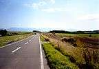 Biei-road2003.jpg