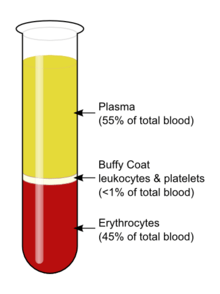 A diagram of a test tube showing three layers, with plasma on top, red blood cells on bottom, and a thin layer, called the buffy coat, in between