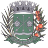Coat of arms of Boa Esperança do Sul
