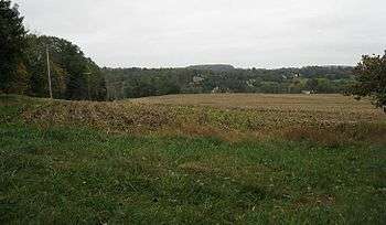 Photo shows a view from a hill top, with fields sloping down toward wooded terrain and power lines on the left.