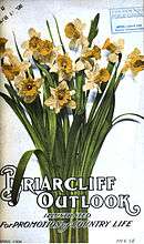 Magazine cover, with a bunch of daffodils