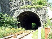 Stone tunnel with railway tracks emerging from it, surrounded by vegetation.