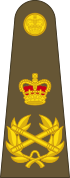 Shoulder insignia consisting of crossed golden batons surrounded by golden oak leaf embellishment, topped with a crown.