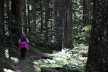 A woman, dressed in dark clothing contrasting with fuchsia hair ribbons and a fuchsia sweatshirt wrapped around her waist, hikes through a dark forest with the aid of metal walking sticks.