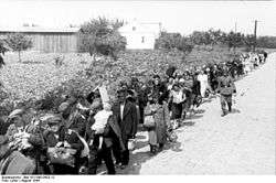 Black and white photo of Polish civilians leaving Warsaw under guard by German soldiers