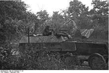 Man manning machine gune on top of a half track vehicle