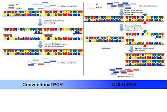 An overview of COLD-PCR compared to regular PCR.