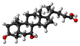 Ball-and-stick model of the chenodeoxycholic acid molecule