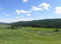 Distant view of the valley in which the Cypress Hills Massacre occurred