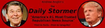 A red rectangle logo. In white, all-caps letters, it reads "The Daily Stormer". In smaller black all-caps, above reads "The world's most visited alt-right web site", and below "Publisher Andrew Anglin, Established 2013". To the right of the writing is a black symbol similar to a swastika or Celtic cross, within a white disc.