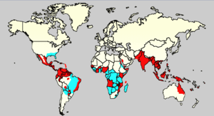 World map showing the countries where the Aedes mosquito is found (the southern US, eastern Brazil and most of sub-Saharan Africa), as well as those where Aedes and dengue have been reported (most of Central and tropical South America, South and Southeast Asia and many parts of tropical Africa).