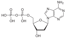 Skeletal formula of adenosine diphosphate