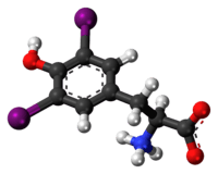 Ball-and-stick model of the diiodotyrosine molecule as a zwitterion