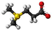 Ball-and-stick model of the dimethylsulfoniopropionate zwitterion