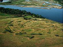 Aerial view of double ditch site.