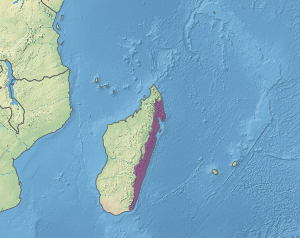 Map showing location of lowland forests in the east and north of Madagascar