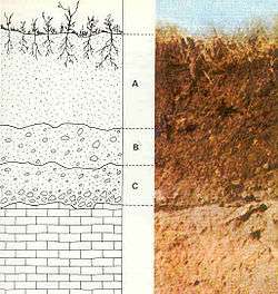 This is a diagram and related photograph of soil layers from bedrock to soil.