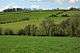 Hilly grazing farmland with trees and hedgerows with Cae Camp in the distance on the skyline