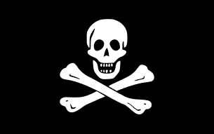 black flag with traditional skull and crossbones