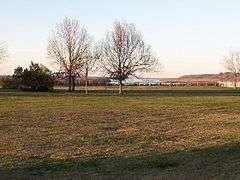 A photo of a green lawn with a single naked tree and water in the background