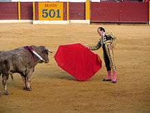 Frank Evans fights a bull, Spain