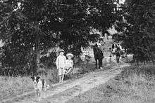 Blue Cattle Dog walking down a driveway ahead of two boys with a toy wagon, and a man and a woman in a horse-drawn cart, 1902
